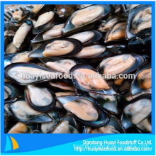 fresh frozen half shell mussel with excellent price